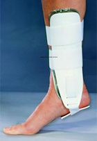 djo7997867_sm.jpg